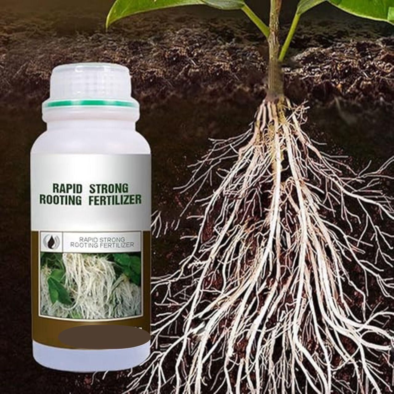 Rapid Strong Rooting Fertilizer 200 gm Pack of 2