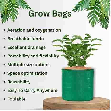 Organic Mix Varieties 100 Pices Seeds With 5 Pices Grow Bag