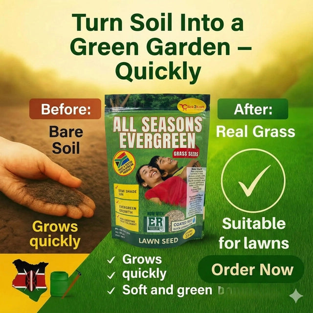 All-Seasons Premium Evergreen Grass Seeds - High Germination for Beautiful Lush Green Lawn