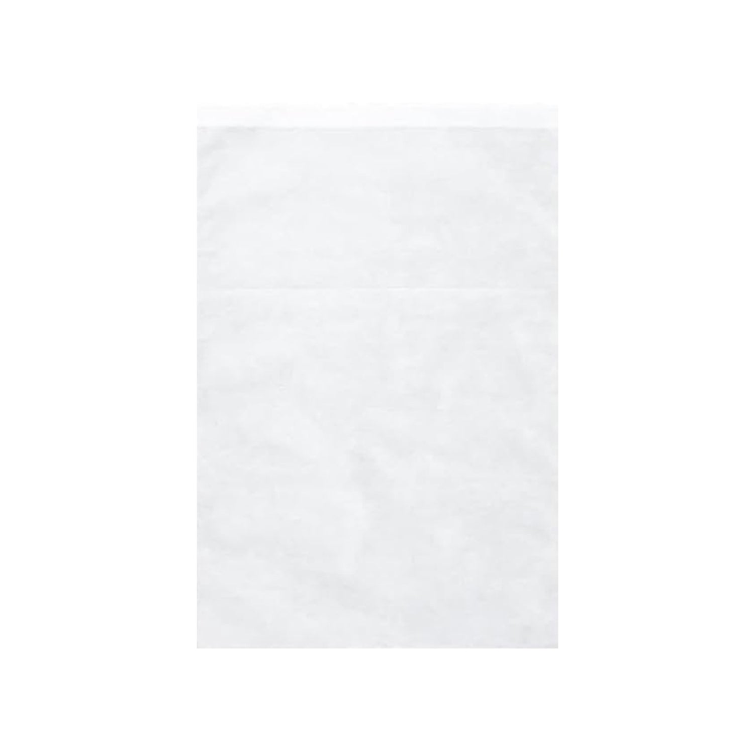 Non-woven Drawstring Shoe Storage Bag (48 X 31 Cm 1 Pc)