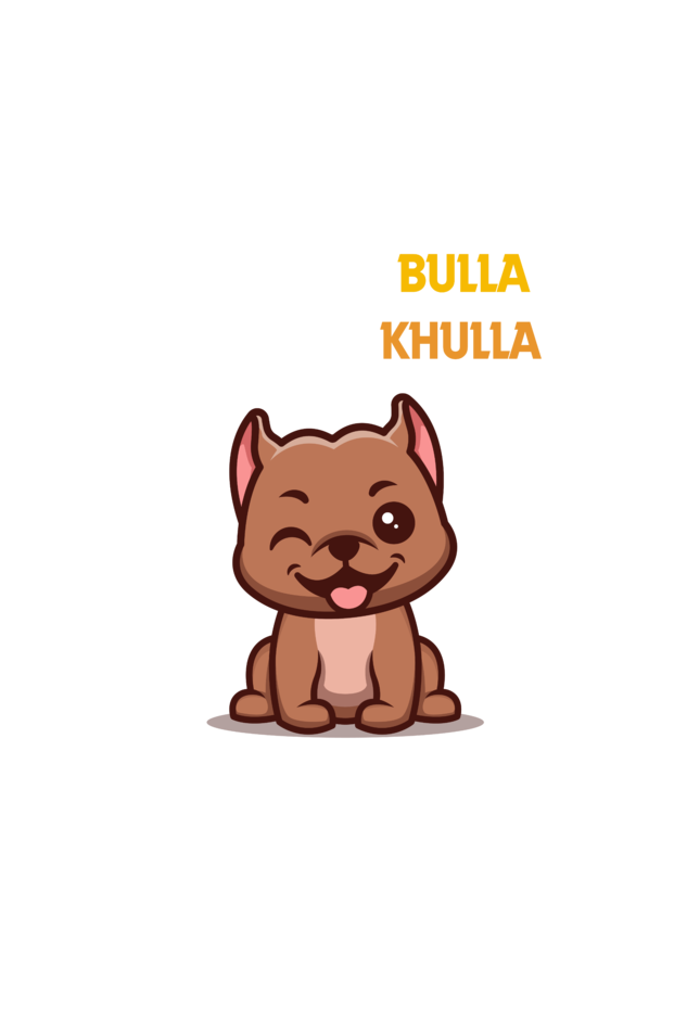 BULLA KHULLA CLASSIC TSHIRT