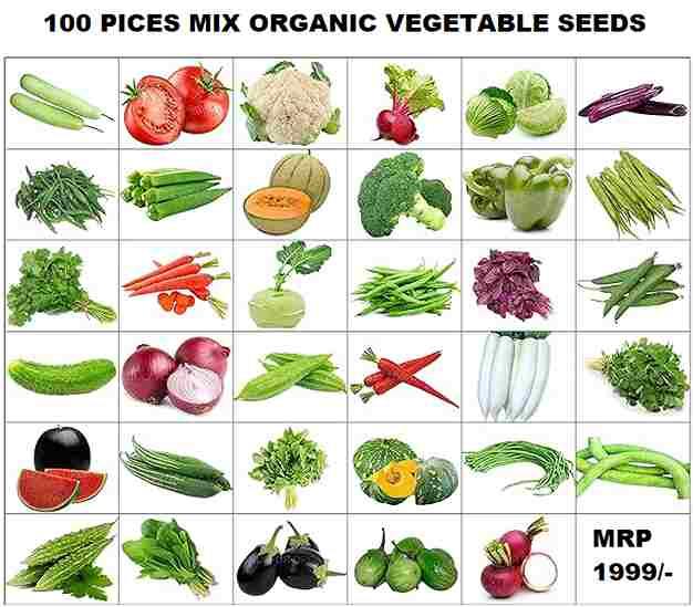 Organic Mix Varieties 100 Pices Seeds With 5 Pices Grow Bag