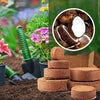 Organic Coconut Coir for Plants Pack of 10