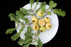 Spring guava Live Plants