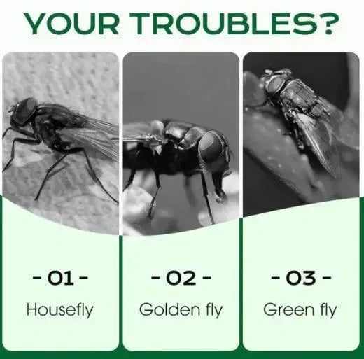 Multi-Scene Fast-Acting Fly Killer – Advanced Powder Formula (Pack of 2)