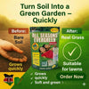 All-Seasons Premium Evergreen Grass Seeds - High Germination for Beautiful Lush Green Lawn