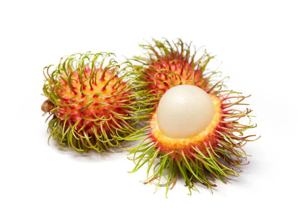 Rambutan Rongrien Live Plants
