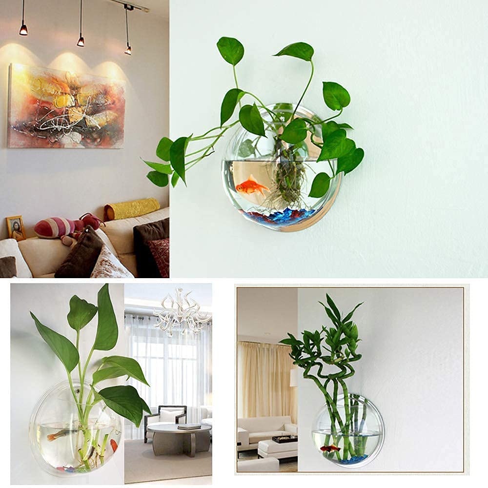 Mistletoe Beautiful Quality Wall Hanging Fish Bowl Acrylic - Assorted Back Color (Not Glass) 9 Inches, 1 LTR